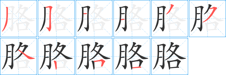 胳的笔顺分步演示